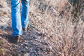 walking in a field