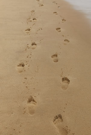 footprints in the sand, my journey